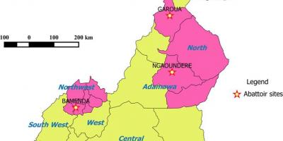 Camerun mostrando regioni mappa
